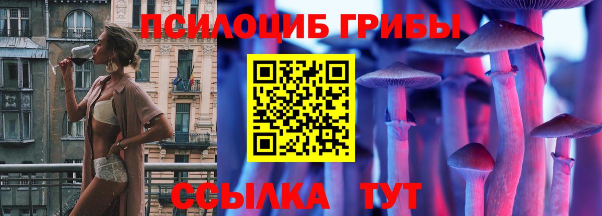 Псилоцибиновые грибы MAGIC MUSHROOMS  Вход с VPN  Заринск 